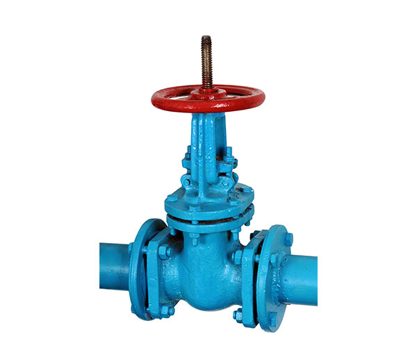 Cast Iron Valve